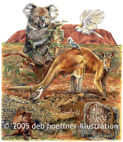 stock images of Australian Wildlife of Marsupials, cockatoo, koala bear, parakeet