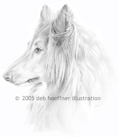 stock image Portrait of a lassie pet dog