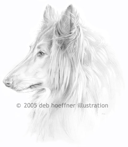 Portraiture of a lassie pet dog