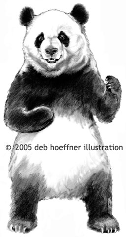 Panda Portrait in graphite pencil