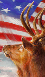 Click for Patriotic Illustration Subject Samples