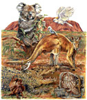 i need an illustrtor of Australian Wildlife
