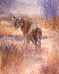 animal illustrator, wildlife illustrator, artist, graphic design, drawing, illustrations for publications, wildlife, computer graphics