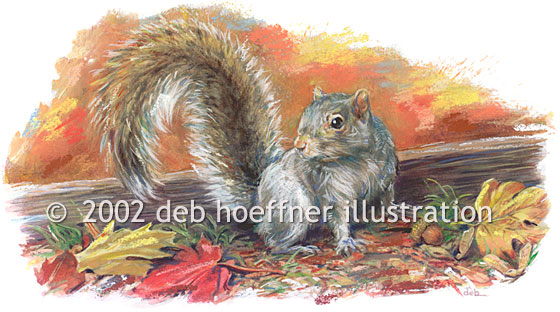 magazine editorial illustration of Grey Squirrel, autumn leaves, squirrel