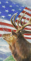 Click for Patriotic Subject Samples