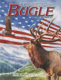 Rocky Mountain Stars and Stripes patriotic magazine cover illustration