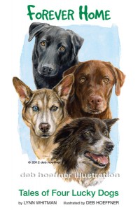 Forever Home: Tales of Four Lucky Dogs Children's Book Illustrators