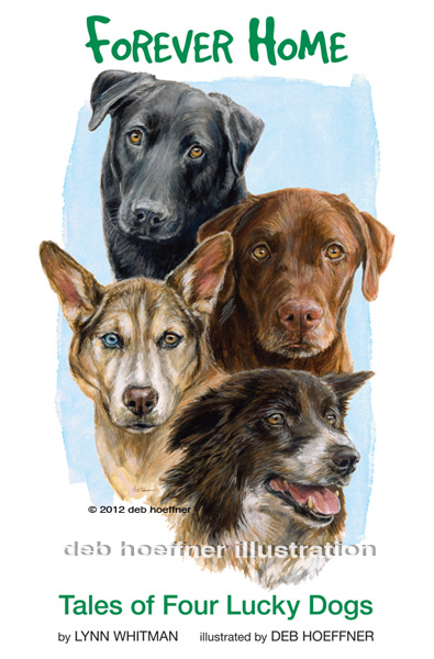 shelter dogs book illustrated by deb hoeffner