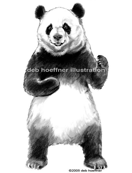 realistic panda drawing