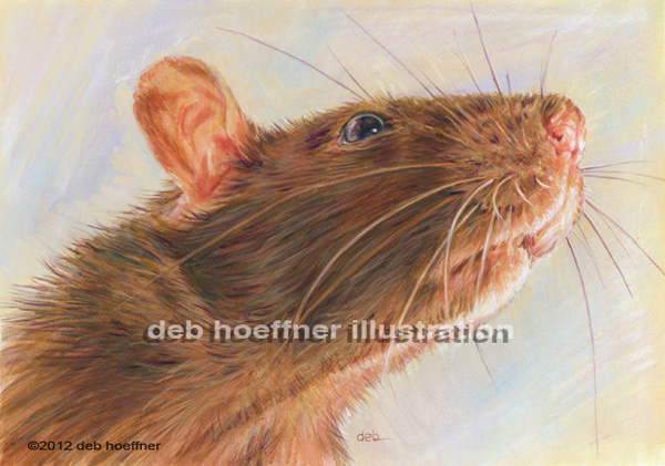 Premium Vector | Cute realistic rat.