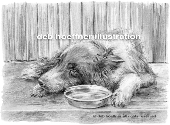 old shelter dog realistic drawing