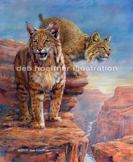 bobcat painting, wildlife art, Grand Canyon painting