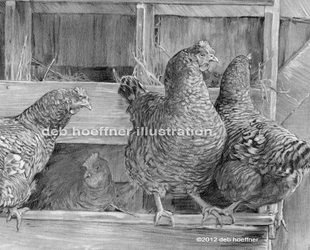 chickens realistic farm animal drawing