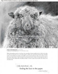 award-winning sheep drawing featured in Strokes of genius book