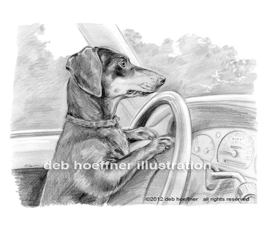 dog driving car book illustration