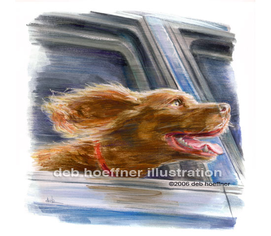 Dog with head out of car window illustration for book Dog's Guide to Life