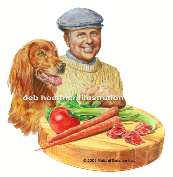 irish setter dog food art