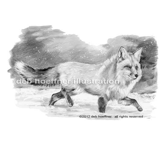 b&w book illustration fox in snow