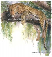 leopard painting - big cat illustration for stock illustrations images