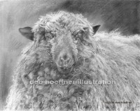 Howell Farm Dreadlocks - realistic animal drawing