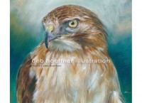 Portrait of Blaze, red-tailed hawk of Audubon Society