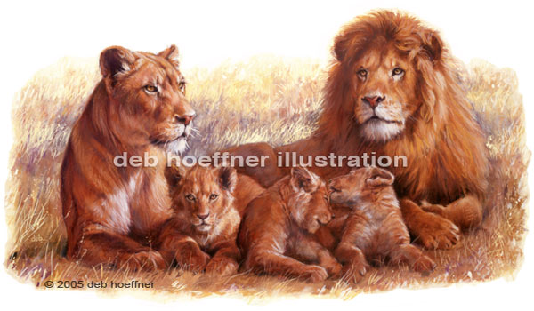 African lion pride illustration