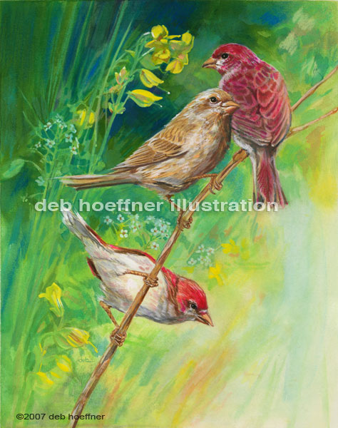 songbirds purple finches watercolor illustration