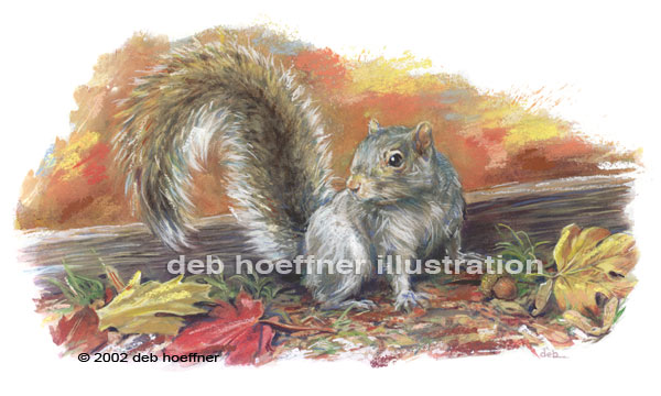 Yankee Magazine magazine editorial illustration of Grey Squirrel, autumn leaves, squirrel