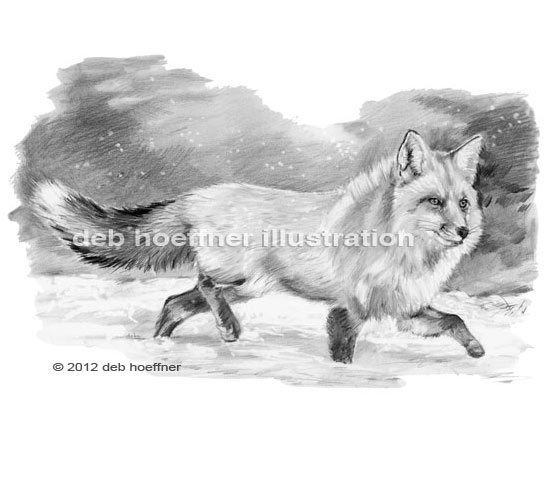 red fox running in snow illustration