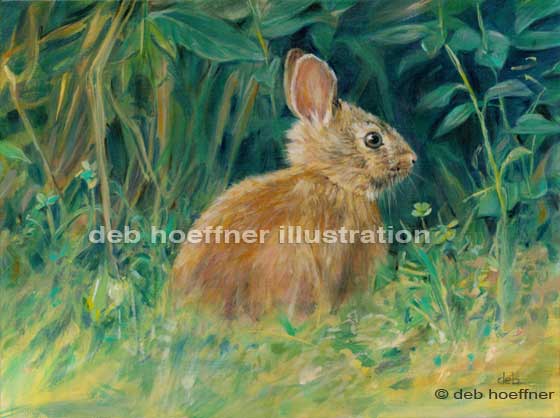 realistic wildlife art by Bucks County artist deb hoeffner