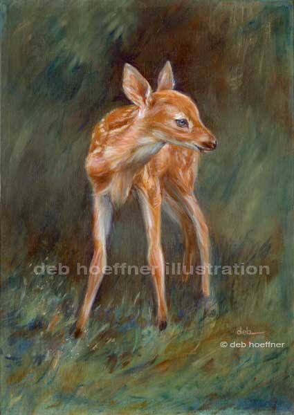baby deer illustration deb hoeffner