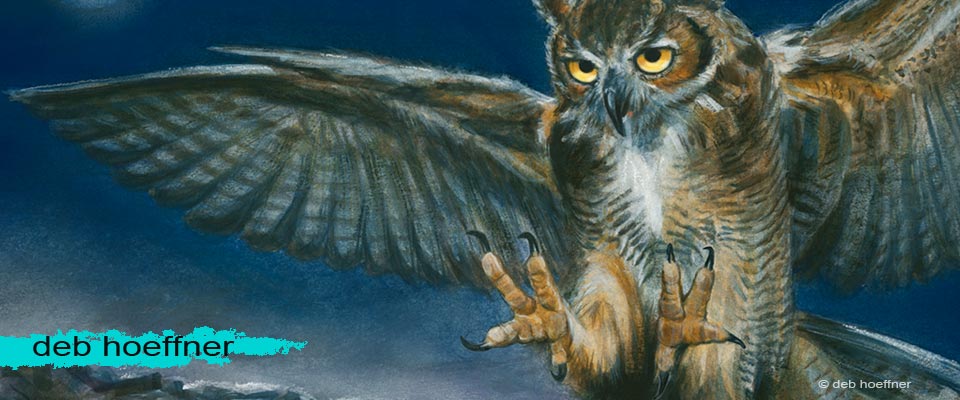 debhoeffner.com owl children's book