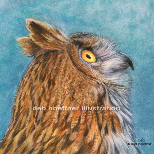 great horned owl illustration