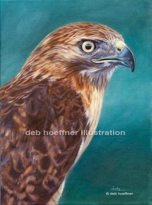 Audubon Society Exhibit hawk oil portrait deb hoeffner