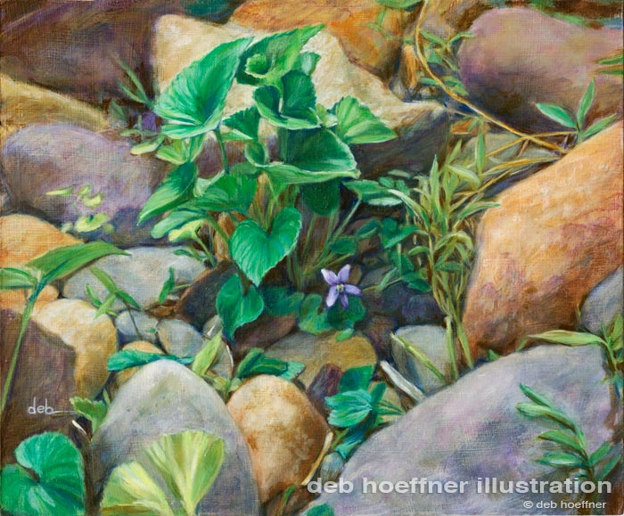 Delaware river violet painting deb hoeffner