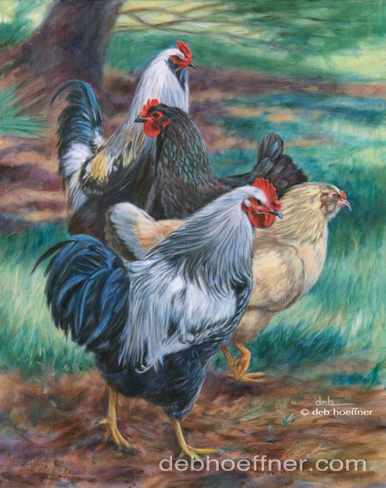 roosters art