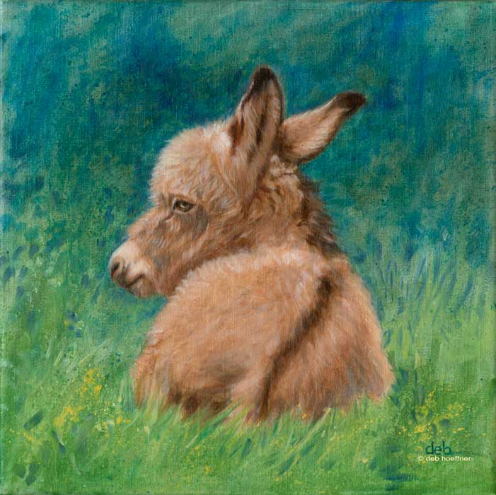 oil portrait of a baby donkey