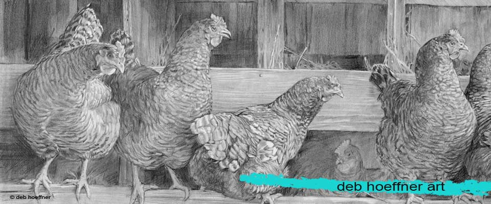 realistic animal drawings by deb hoeffner