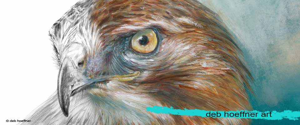 deb hoeffner art, realistic animal artist website