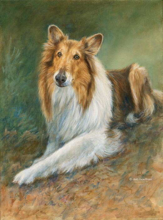 sable collie realistic oil painting